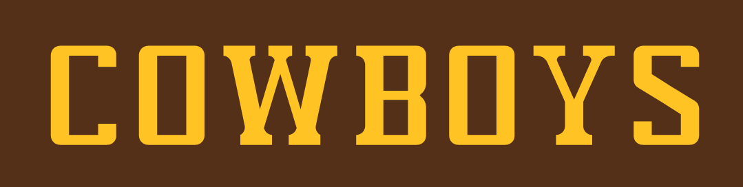 Wyoming Cowboys 2006-2012 Wordmark Logo 01 vinyl decal